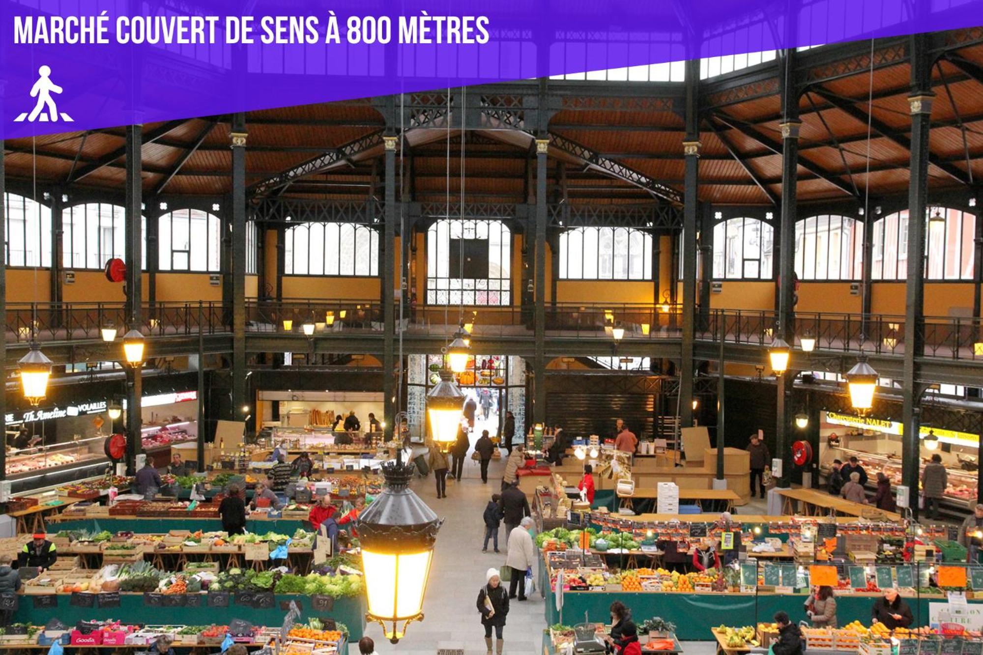 Le Premier - Charmant T2 A 600M Du Centre Ville Sens Ngoại thất bức ảnh